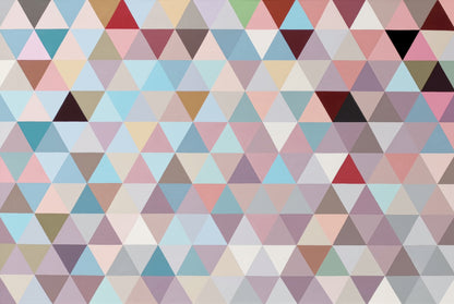 Between the Cherry Blossom